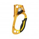 PETZL ASCENSION, rechte Hand