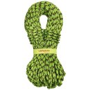 TENDON - Kletterseil MASTER 9,7 grün in diversen...