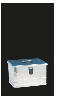 MAS Absturzsicherung Alu- Transportkoffer