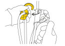 Petzl ROLLCLIP Z Karabiner SCREW-LOCK