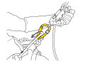 Petzl ROLLCLIP Z Karabiner SCREW-LOCK