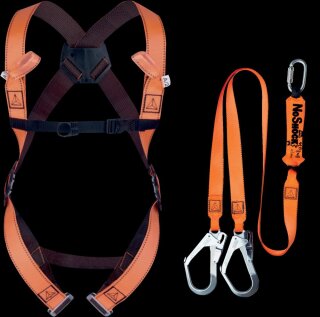 DeltaPlus Sicherheitssset SCAFFOLDING mit Aufbewahrungstasche